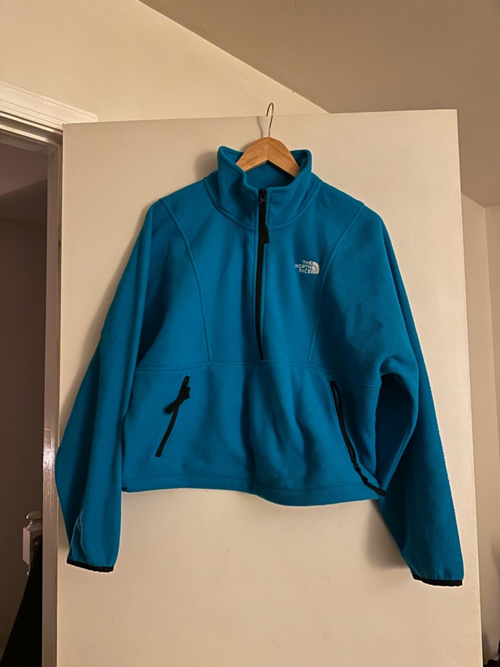 The North Face Teal Blue Half-Zip Fleece Pullover